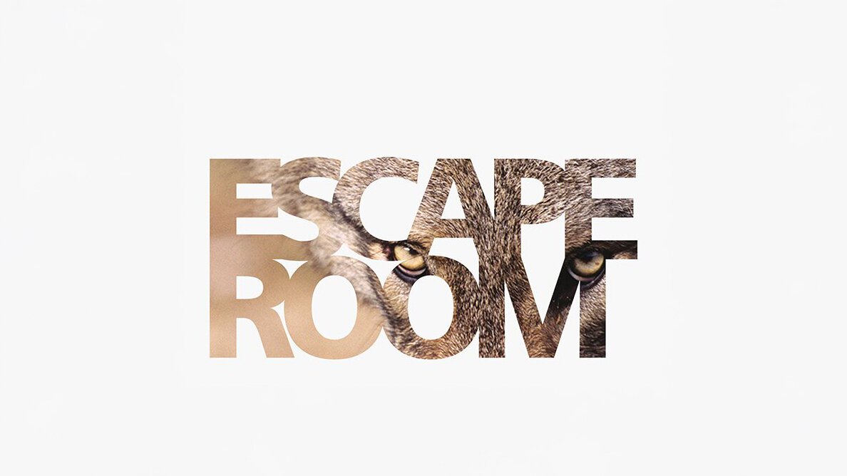 La grafica dell'attività presenta la scritta ESCAPE ROOM in maiuscolo, con l'immagine di un lupo visibile all'interno delle lettere, occhi luminosi in evidenza. Fine descrizione fotografia.